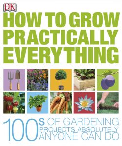 How to Take Care of Your Lawn Image